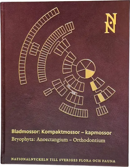 Bladmossor: Kompaktmossor kapmossor. Bryophyta: Anoectangium Orthodontium Skinnbind
