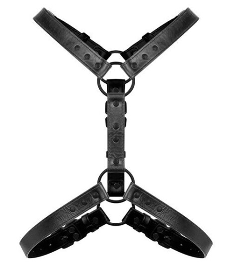 Bedroom Fantasies Bedroom Fantasies Max Bondage Harness BF029BLK