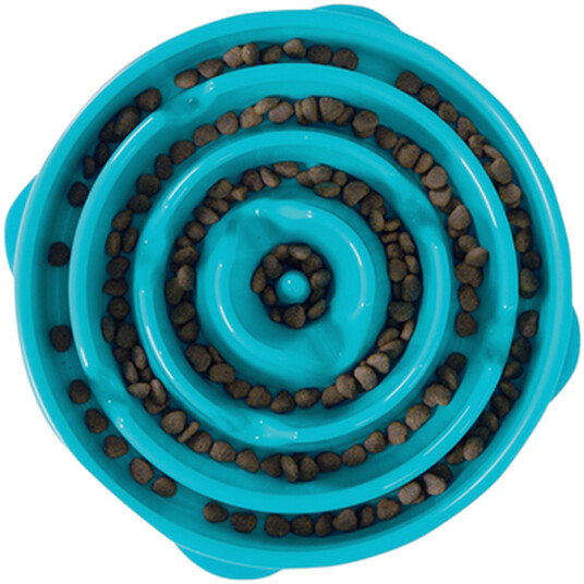Fun Feeder Slo-Bowl Turcose Small 20.5X5Cm