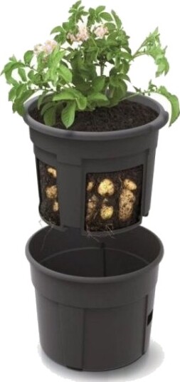 Prosperplast Bulviu-Plant Potte 29,5 Cm Prosperplast Bulviu-Plant Potte 29,5 Cm