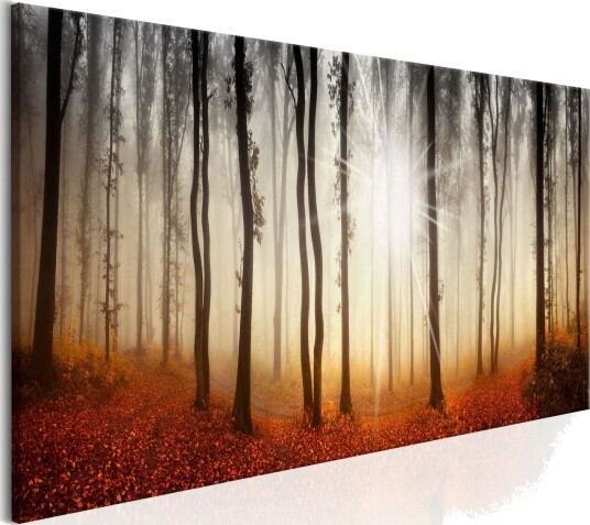 Bilde Autumnal Fog 150x50 Artgeist sp. z o. o.