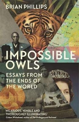Impossible Owls Av Brian Phillips