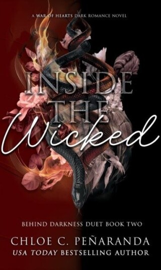 Inside The Wicked Behind Darkness Duet Book 2