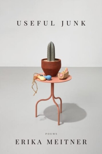 Useful Junk Av Erika Meitner Useful Junk Av Erika Meitner