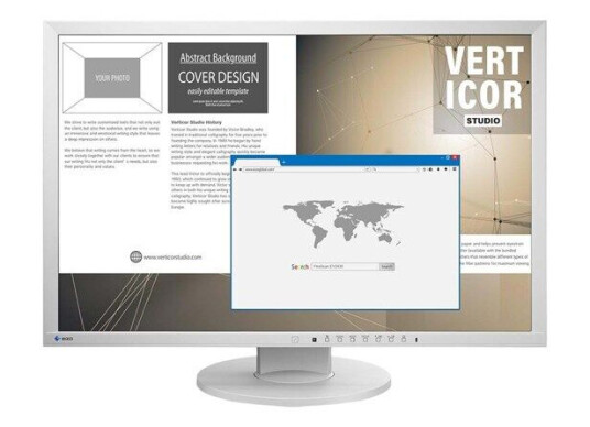EIZO EV2430-GY EIZO EV2430-GY