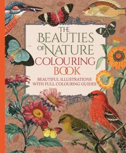 The Beauties Of Nature Colouring Book Av Tansy Willow