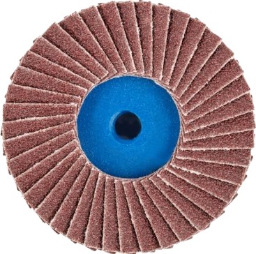 Pferd Combidisc Mini Polifan 5 Cm 10 Stykker Pferd Combidisc Mini Polifan 5 Cm 10 Stykker