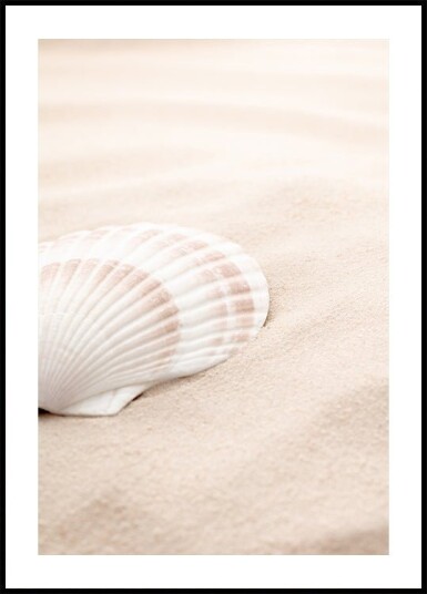 Shell_3 Poster Plakat / 70x100cm