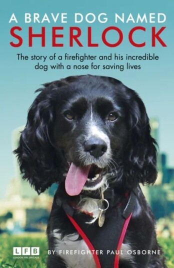 A Brave Dog Named Sherlock Av Paul Osborne