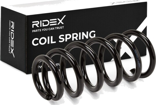 RIDEX 188C0299 Fjær