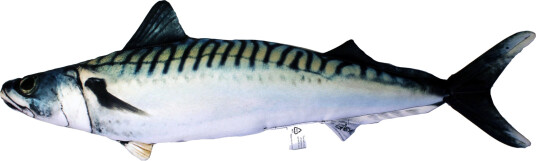 Fiskepute - Makrell - Scomber Scombrus - 60 cm Fiskepute - Makrell - Scomber Scombrus - 60 cm