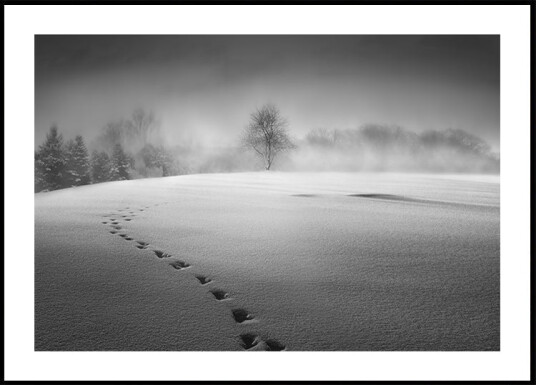 Winter scenery Plakat Plakat / 40x50cm