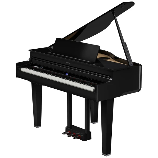 Roland Gp 6 Pe Mini Grand Roland Gp 6 Pe Mini Grand