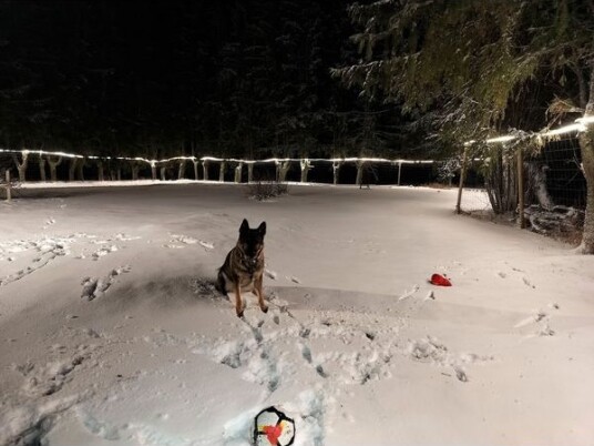 Led stripepakke AGGE Lite 230V 400 lm/m 200 m 4000K Led stripepakke AGGE Lite 230V 400 lm/m 200 m 4000K