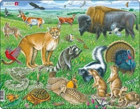 Larsen Puzzles Puzzle American Prairie 53 Pieces Maxi 36.5x28.5 Cm Gulv