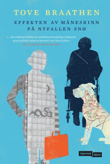 Effekten Av Måneskinn På Nyfallen Snø Av Tove Braathen