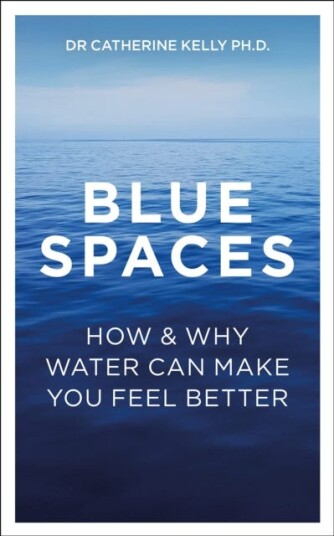 Blue Spaces How and Why Water Can Make You Feel Better