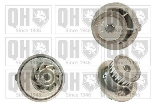 QUINTON HAZELL QCP2189 Vannpumpe