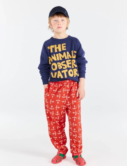THE ANIMALS OBSERVATORY Shark Kid Sweatshirt Red Navy 128 THE ANIMALS OBSERVATORY Shark Kid Sweatshirt Red Navy 128