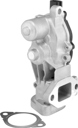 EGR Ventil WAHLER 712074D