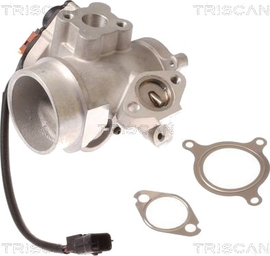 EGR-ventil TRISCAN 8813 10012 EGR-ventil TRISCAN 8813 10012