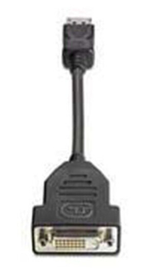 HP DVI-kabel - DisplayPort 19cm HP DVI-kabel - DisplayPort 19cm