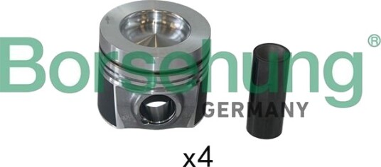 Borsehung B19301 Stempelringsett