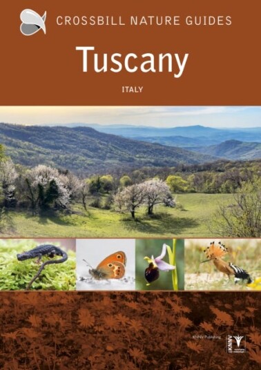 Tuscany Italy Tuscany Italy