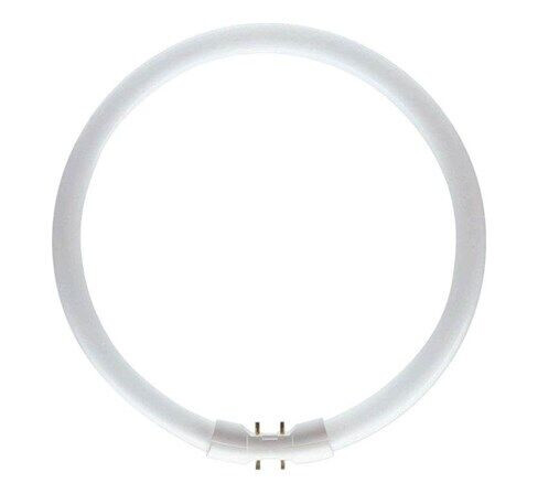 Philips Lysrør Master tl5 circular 22w/830 2GX13