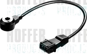 Bankesensor HOFFER 7517349