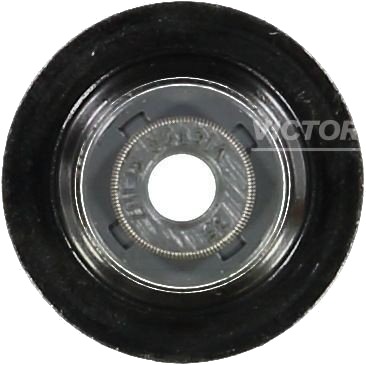 REINZ 70-54093-00 Pakning, ventilstamme
