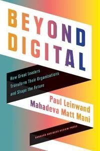 Beyond Digital Av Paul Leinwand, Mahadeva Matt Mani