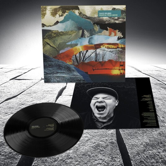 David Grubbs  Whistle From Above  LP/Vinyl