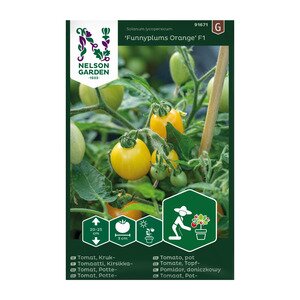 Nelson Garden Grønnsaksfrø tomat potte Funnyplums Orange Nelson Garden Grønnsaksfrø tomat potte Funnyplums Orange