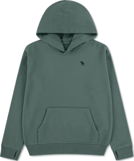 Abercrombie & Fitch hoodie laurel wreath (146/152) 146/152