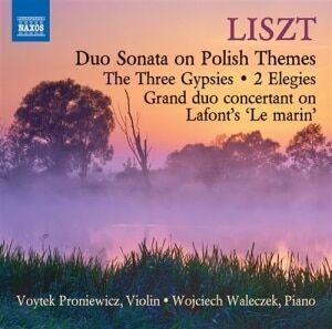 Bengans Liszt - Music For Violin And Piano