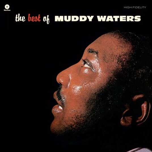 Muddy Waters  The Best Of Muddy Waters  LP/Vinyl