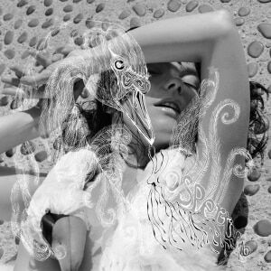 Bengans Björk - Vespertine Bengans Björk - Vespertine