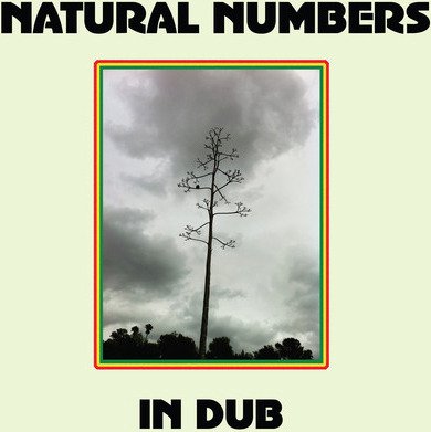 Natural Numbers In Dub Vinyl
