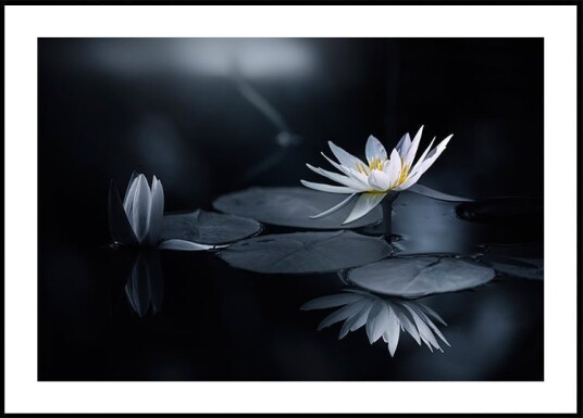 Reflection Poster Plakat / 100x150cm