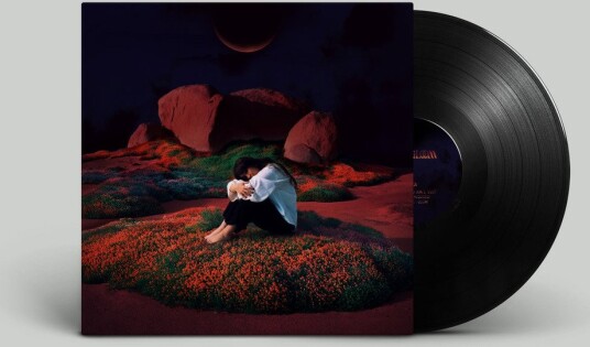 Lily Juniper Bloom Gloom Vinyl