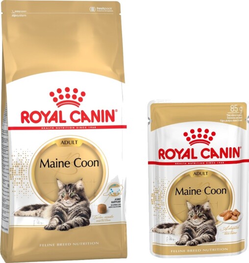 Royal Canin Breed Maine Coon Kombinasjonspakke Tørrfôr + Våtfôr i Saus