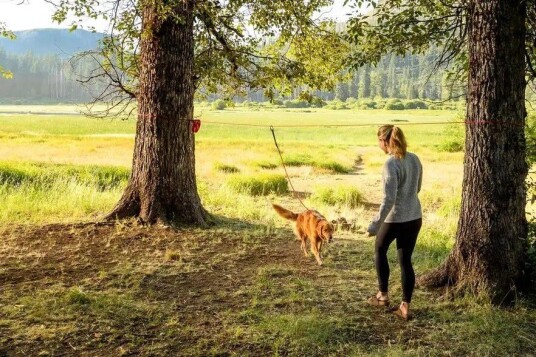 Ruffwear Knot-A-Hitch Leash