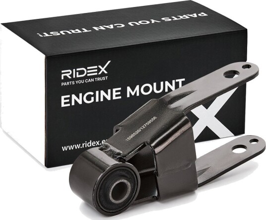 Motorfeste RIDEX 247E0344