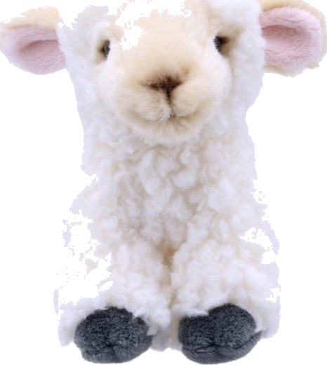 Lamb Soft Toy