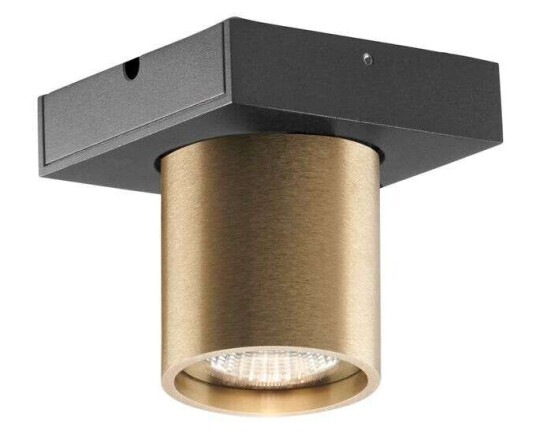 Light-Point Focus 1 LED Taklampe 3000K Brass
