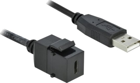 Delock Modulinnlegg Usb-Type C Svart