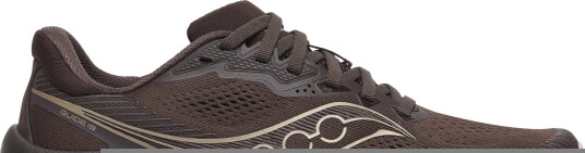 Saucony Women"s Guide 19 Torte/aureate 43
