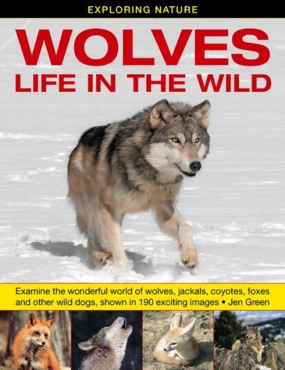 Exploring Nature: Wolves Life in the Wild Examine the Wonderful World of Wolves, Jackals, Coyotes, Foxes and Other Wild Dogs, Shown in 190 Exciting Images Exploring Nature: Wolves Life in the Wild Examine the Wonderful World of Wolves, Jackals, Coyotes, Foxes and Other Wild Dogs, Shown in 190 Exciting Images