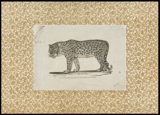Vintage Leopard Sketch Plakat / 30x40
